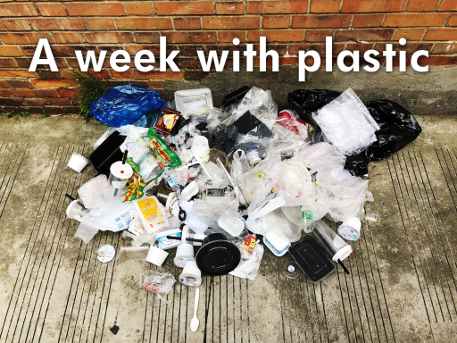 A Week With Plastic 512x384